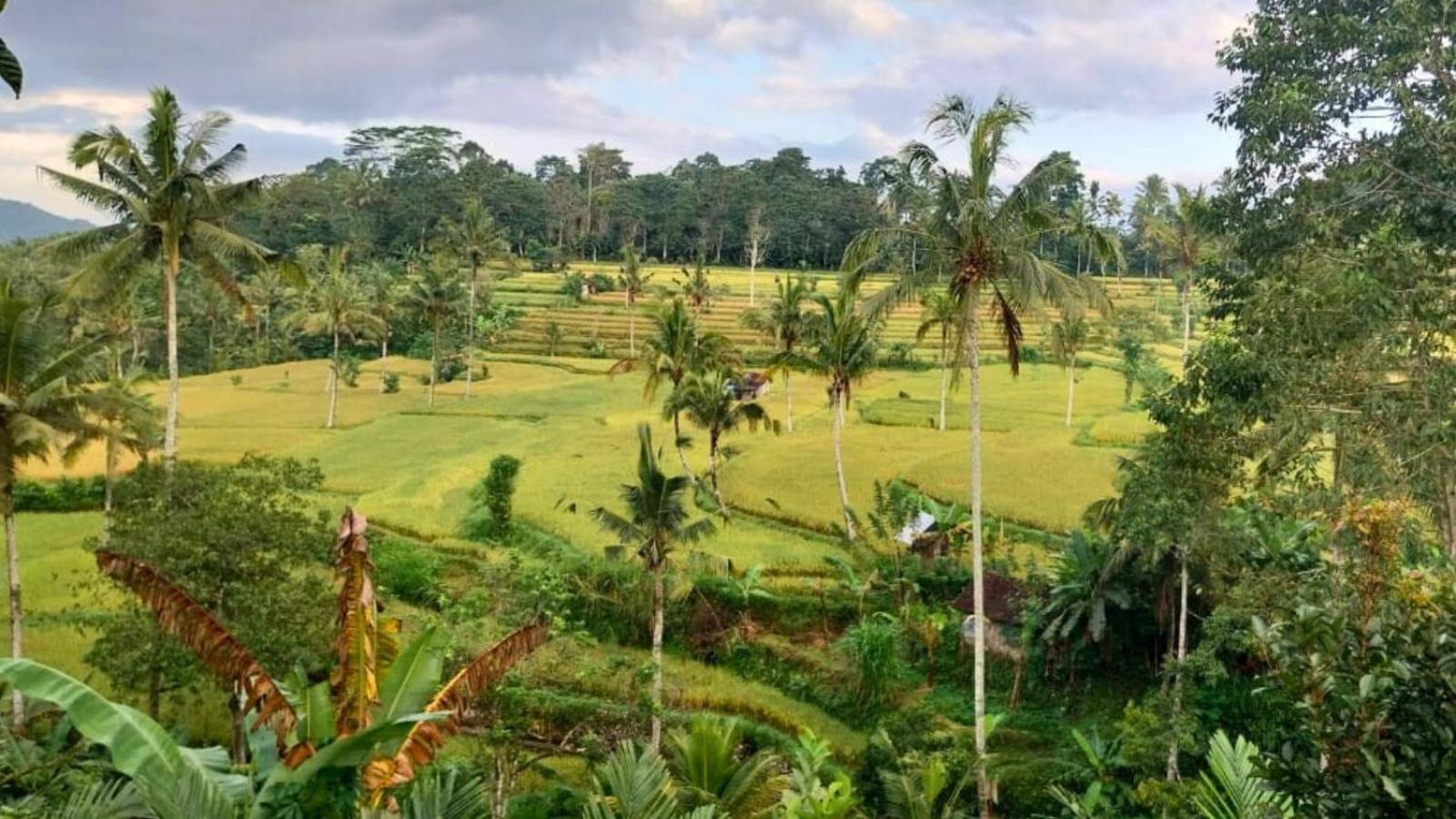 Pondok Sapta Sallaca Selat Bagian luar foto